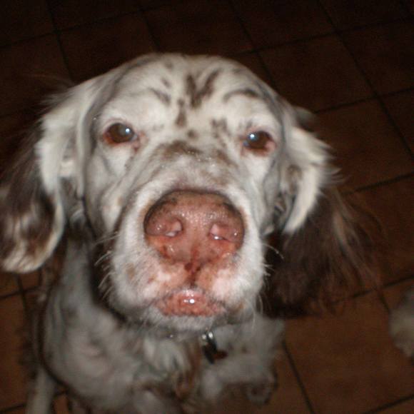 Meet your Posher, Paula - Picture 1 of 1